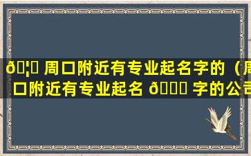 🦅 周口附近有专业起名字的（周口附近有专业起名 🐕 字的公司吗）